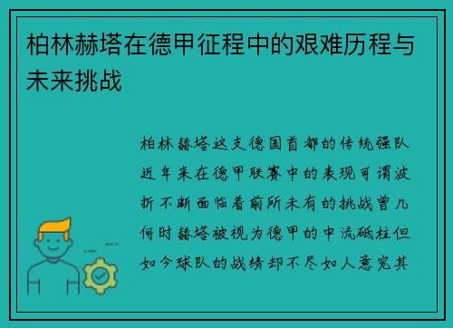 柏林赫塔在德甲征程中的艰难历程与未来挑战